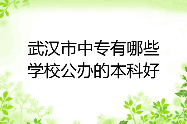 武汉市中专有哪些学校公办的本科好