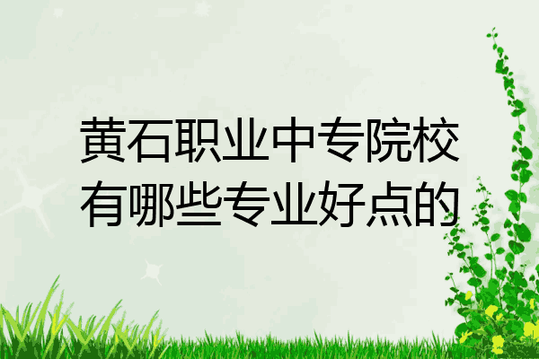 黄石职业中专院校有哪些专业好点的