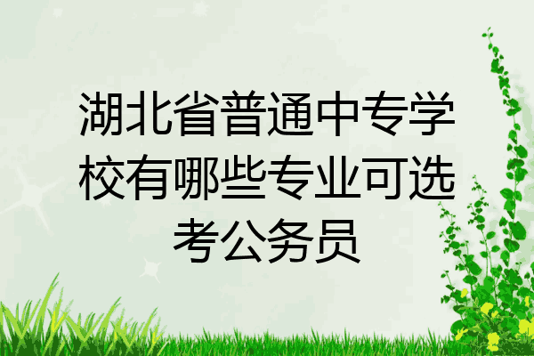 湖北省普通中专学校有哪些专业可选考公务员