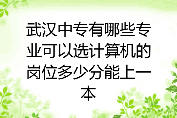 武汉中专有哪些专业可以选计算机的岗位多少分能上一本