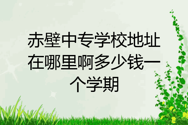 赤壁中专学校地址在哪里啊多少钱一个学期