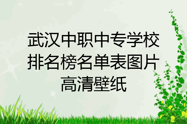 武汉中职中专学校排名榜名单表图片高清壁纸