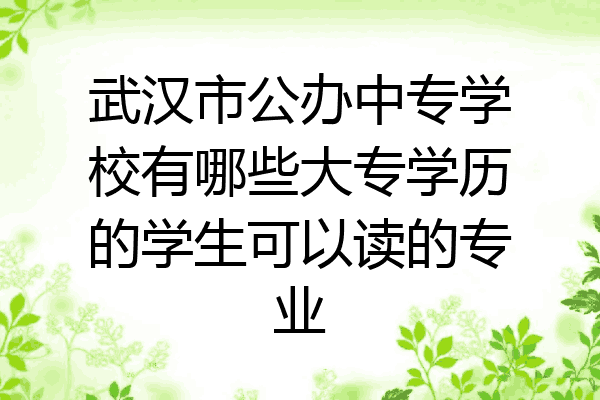 武汉市公办中专学校有哪些大专学历的学生可以读的专业