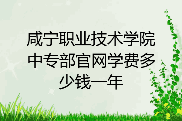 咸宁职业技术学院中专部官网学费多少钱一年