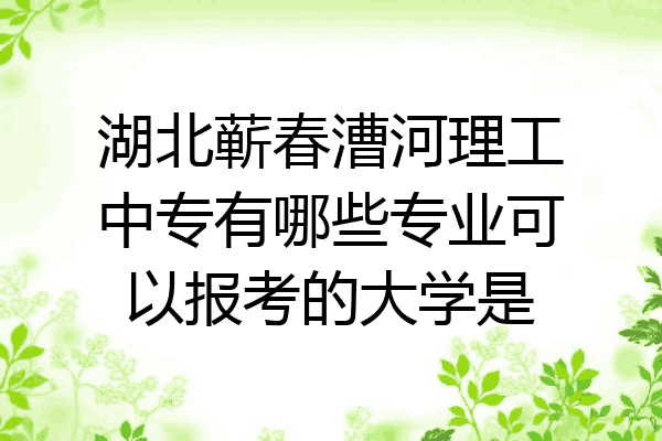 湖北蕲春漕河理工中专有哪些专业可以报考的大学是