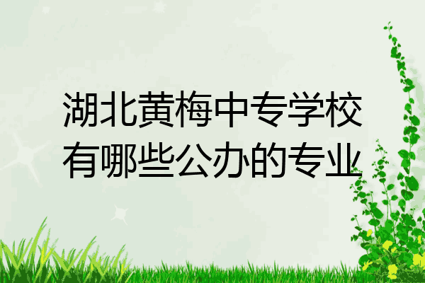 湖北黄梅中专学校有哪些公办的专业