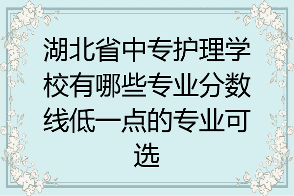湖北省中专护理学校有哪些专业分数线低一点的专业可选