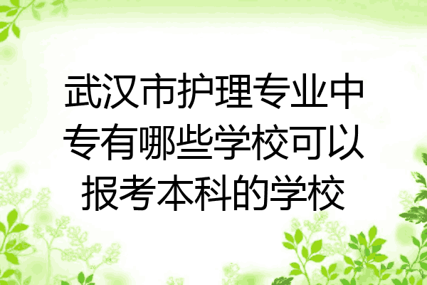 武汉市护理专业中专有哪些学校可以报考本科的学校