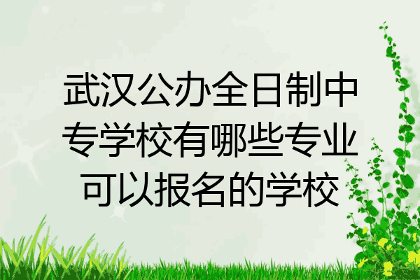 武汉公办全日制中专学校有哪些专业可以报名的学校