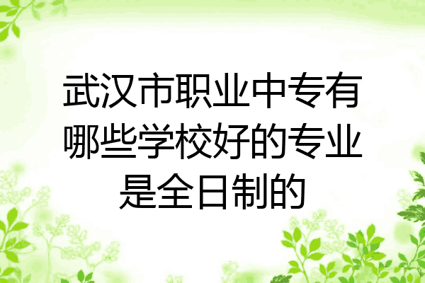 武汉市职业中专有哪些学校好的专业是全日制的