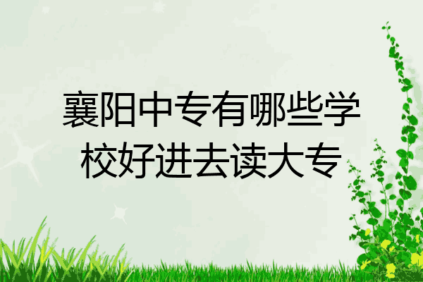 襄阳中专有哪些学校好进去读大专