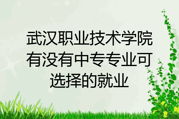 武汉职业技术学院有没有中专专业可选择的就业
