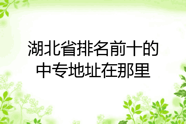 湖北省排名前十的中专地址在那里