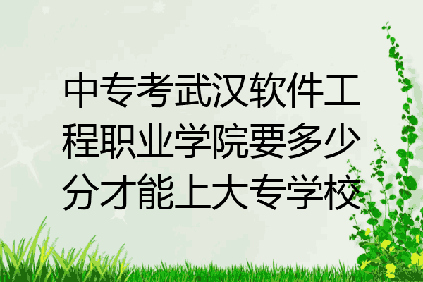 中专考武汉软件工程职业学院要多少分才能上大专学校