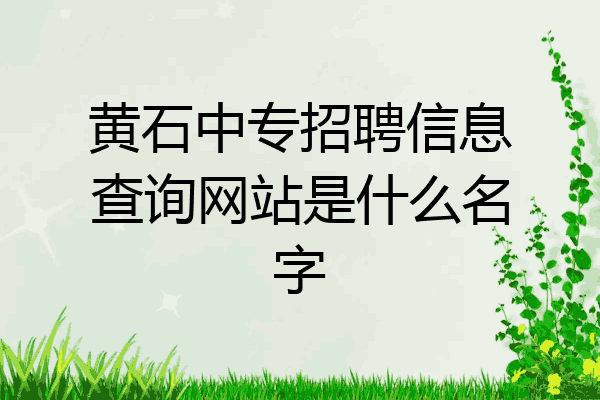 黄石中专招聘信息查询网站是什么名字