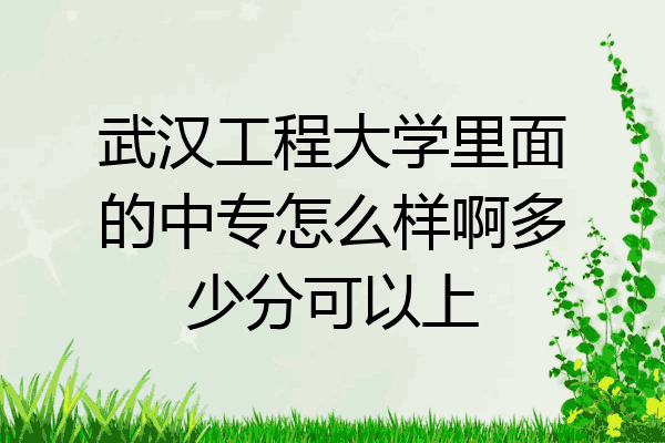 武汉工程大学里面的中专怎么样啊多少分可以上