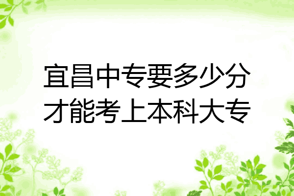宜昌中专要多少分才能考上本科大专