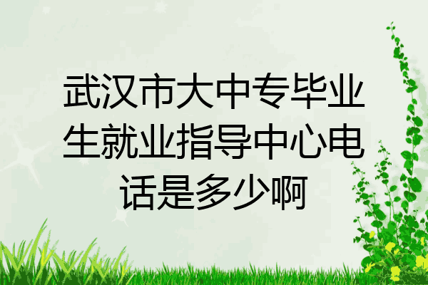 武汉市大中专毕业生就业指导中心电话是多少啊