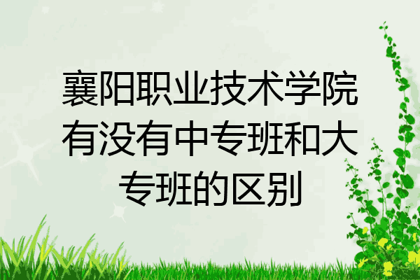 襄阳职业技术学院有没有中专班和大专班的区别