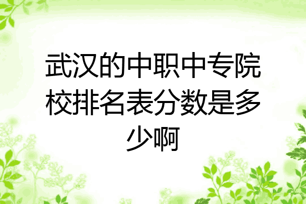 武汉的中职中专院校排名表分数是多少啊