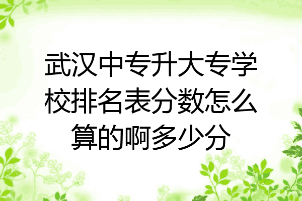 武汉中专升大专学校排名表分数怎么算的啊多少分