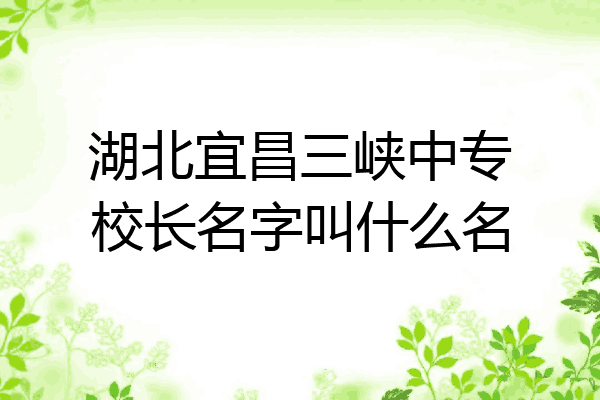 湖北宜昌三峡中专校长名字叫什么名