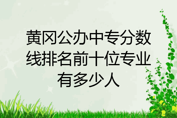 黄冈公办中专分数线排名前十位专业有多少人