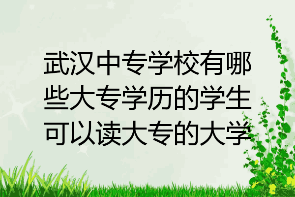 武汉中专学校有哪些大专学历的学生可以读大专的大学
