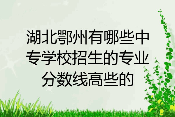 湖北鄂州有哪些中专学校招生的专业分数线高些的