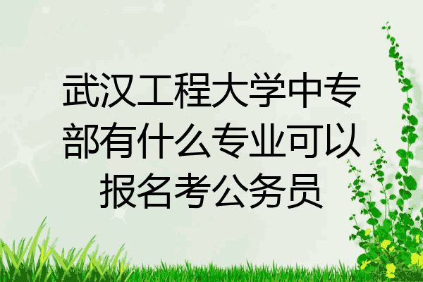 武汉工程大学中专部有什么专业可以报名考公务员