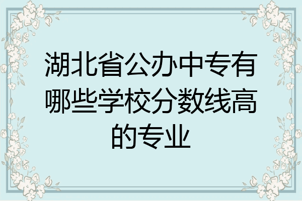 湖北省公办中专有哪些学校分数线高的专业