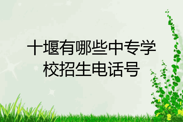 十堰有哪些中专学校招生电话号