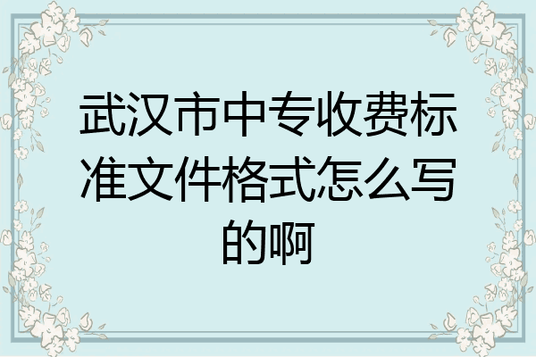 武汉市中专收费标准文件格式怎么写的啊