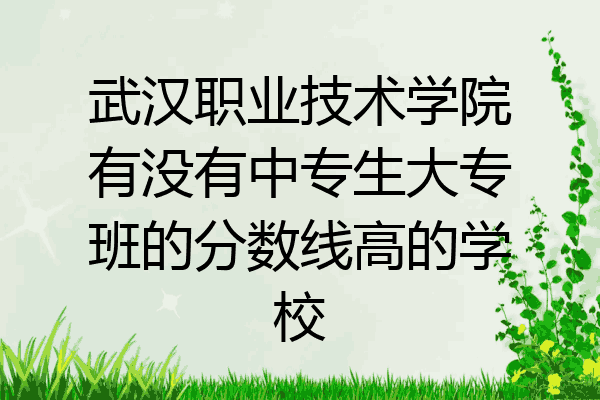 武汉职业技术学院有没有中专生大专班的分数线高的学校