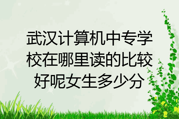 武汉计算机中专学校在哪里读的比较好呢女生多少分