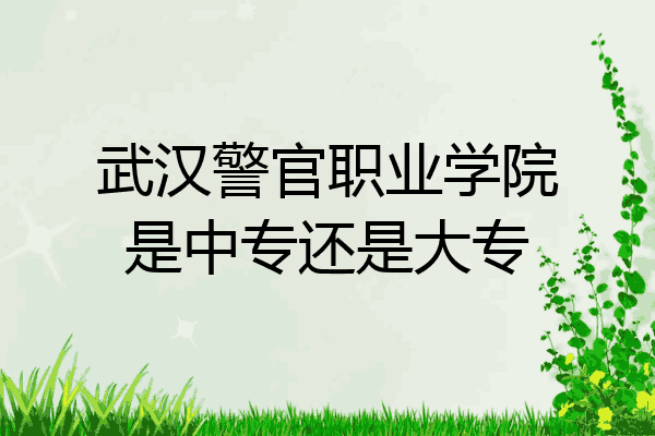 武汉警官职业学院是中专还是大专