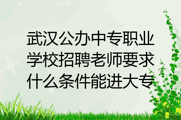 武汉公办中专职业学校招聘老师要求什么条件能进大专