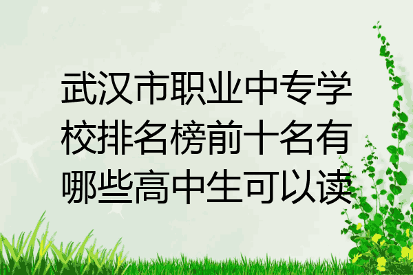 武汉市职业中专学校排名榜前十名有哪些高中生可以读