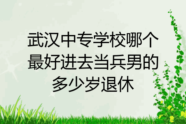 武汉中专学校哪个最好进去当兵男的多少岁退休