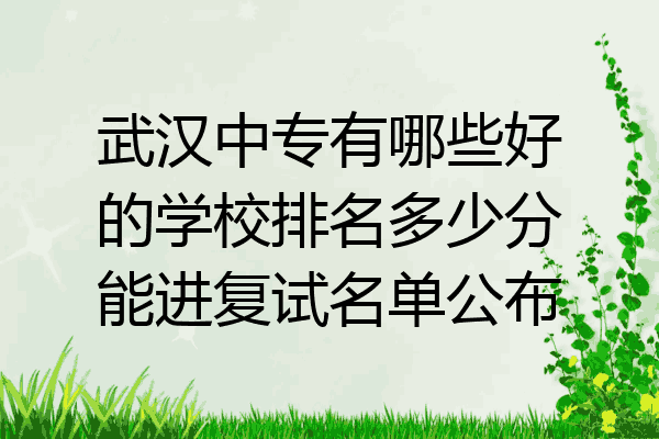 武汉中专有哪些好的学校排名多少分能进复试名单公布