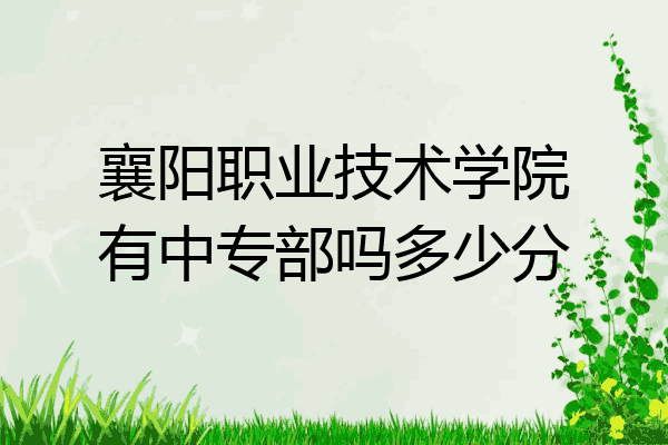 襄阳职业技术学院有中专部吗多少分