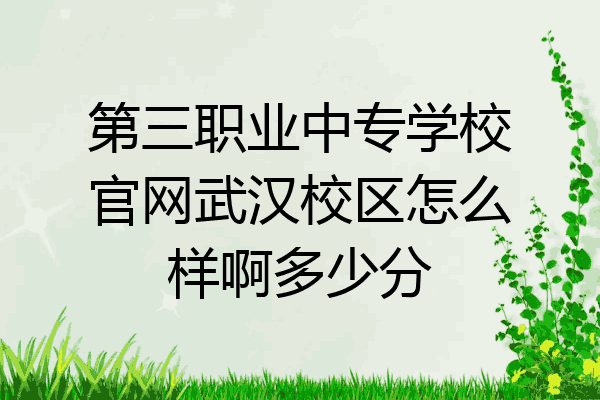 第三职业中专学校官网武汉校区怎么样啊多少分