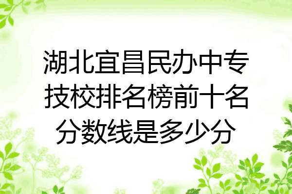 湖北宜昌民办中专技校排名榜前十名分数线是多少分