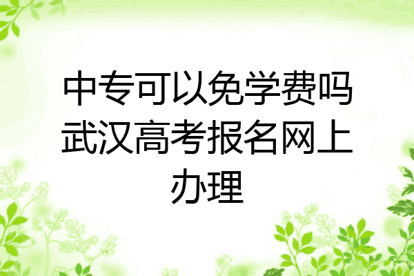 中专可以免学费吗武汉高考报名网上办理