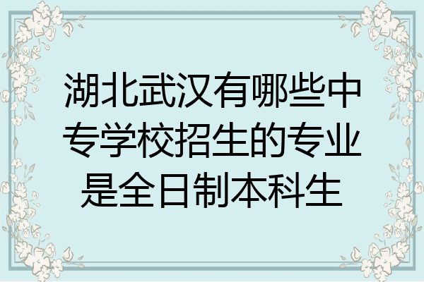 湖北武汉有哪些中专学校招生的专业是全日制本科生