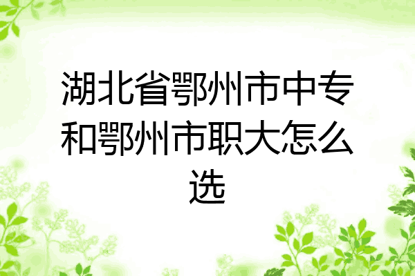 湖北省鄂州市中专和鄂州市职大怎么选