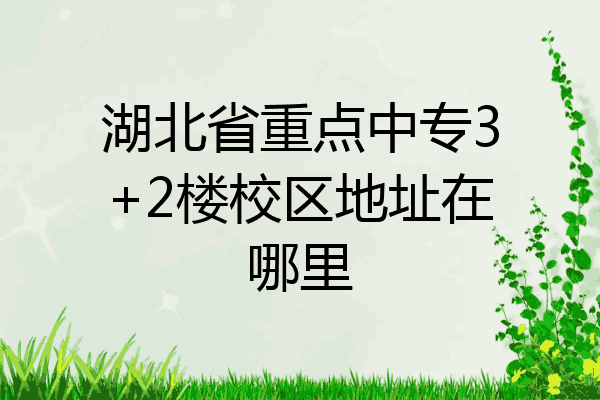 湖北省重点中专3+2楼校区地址在哪里