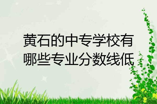 黄石的中专学校有哪些专业分数线低