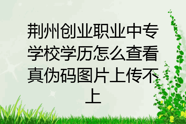 荆州创业职业中专学校学历怎么查看真伪码图片上传不上