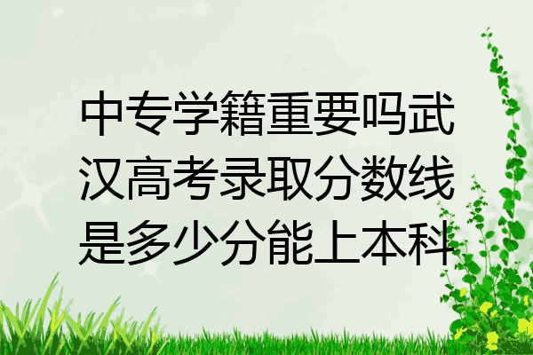 中专学籍重要吗武汉高考录取分数线是多少分能上本科